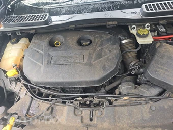 2015 Ford Escape SE – miniatura 15