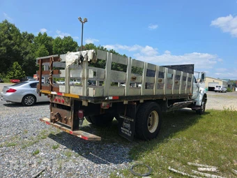 2015 Ford F650 SUPER DUTY Conventional Long – miniatura 3