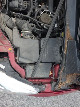 2015 Ford Focus SE Hatchback – miniatura 39