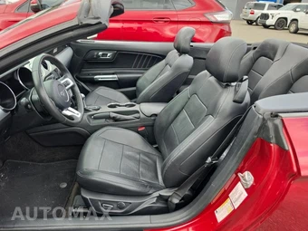 2015 Ford Mustang EcoBoost Premium Convertible – miniatura 13