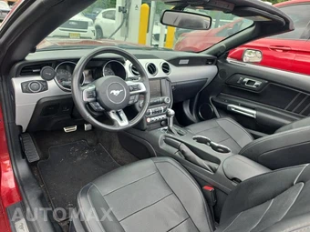 2015 Ford Mustang EcoBoost Premium Convertible – miniatura 14