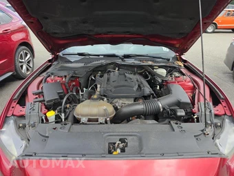 2015 Ford Mustang EcoBoost Premium Convertible – miniatura 18