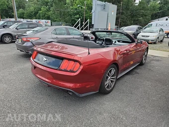 2015 Ford Mustang EcoBoost Premium Convertible – miniatura 4