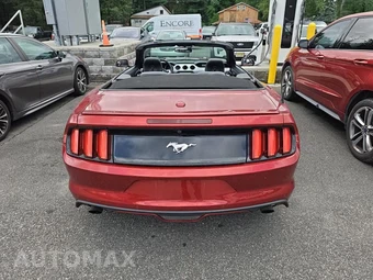 2015 Ford Mustang EcoBoost Premium Convertible – miniatura 5