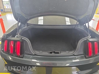 2015 Ford Mustang EcoBoost Premium Coupe – miniatura 13
