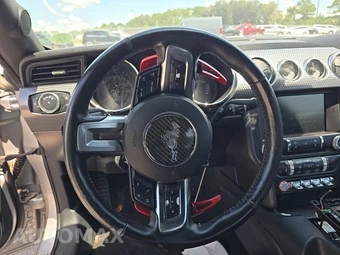 2015 Ford Mustang EcoBoost Premium Coupe - miniatura 10