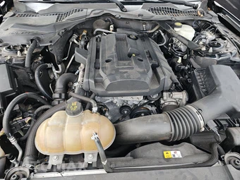 2015 Ford Mustang EcoBoost Premium Coupe – miniatura 16