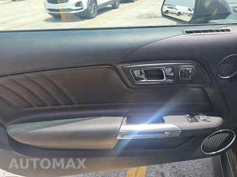 2015 Ford Mustang EcoBoost Premium Coupe - miniatura 9