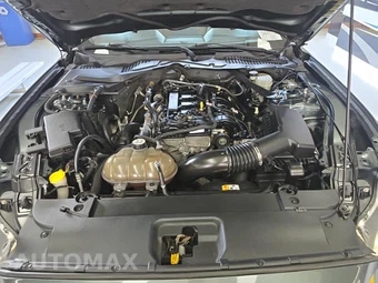2015 Ford Mustang EcoBoost Premium Coupe – miniatura 12