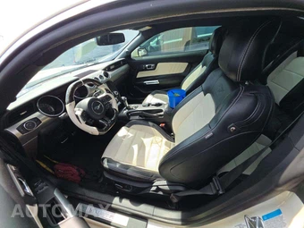 2015 Ford Mustang GT 50 Years Limited Edition Coupe - miniatura 6
