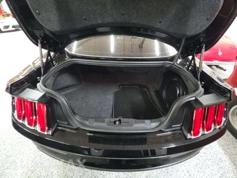2015 Ford Mustang GT Premium Coupe - miniatura 14