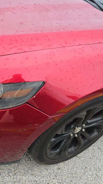 2015 Ford Taurus SHO – miniatura 23