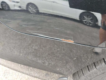 2015 Hyundai Sonata Limited 2.0T w/Gray Accent - miniatura 18