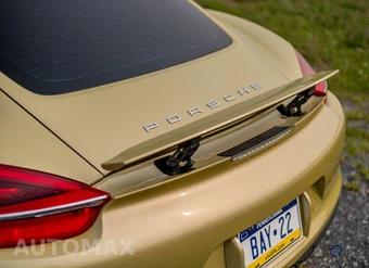 2015 Porsche Cayman S - miniatura 19