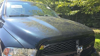 2015 Ram 1500 Outdoorsman Crew Cab Short Bed - miniatura 24