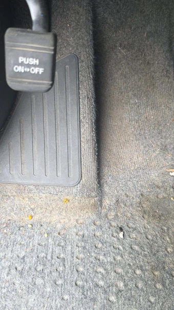 2015 Toyota Prius Two – miniatura 25