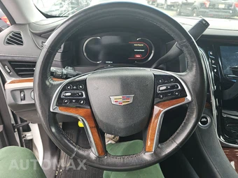 2016 Cadillac Escalade ESV Luxury Collection 1SB - miniatura 10