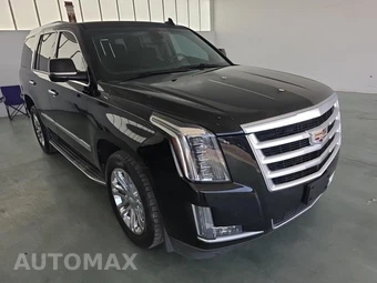 2016 Cadillac Escalade Standard 1SA - miniatura 3