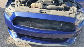2016 Ford Mustang EcoBoost Coupe - miniatura 34