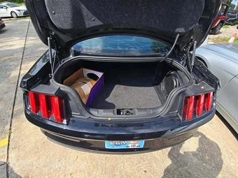 2016 Ford Mustang EcoBoost Premium Coupe - miniatura 14