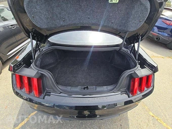 2016 Ford Mustang Shelby GT350 Coupe - miniatura 14