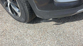 2016 Kia Sorento EX – miniatura 26