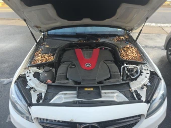 2016 Mercedes-Benz C 450 AMG 4MATIC – miniatura 18