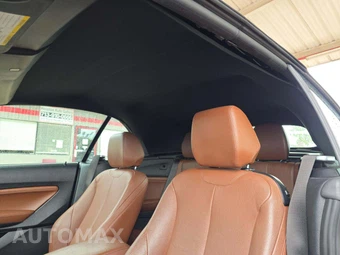 2017 BMW 2 Series Convertible 230i M SPORT LINE - miniatura 11