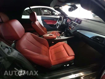 2017 BMW 2 Series Convertible 230i M SPORT LINE - miniatura 18