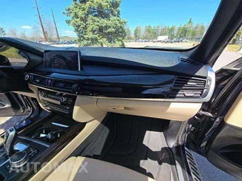 2017 BMW X5 Sports Activity Vehicle iPerformance LUXURY LINE - miniatura 19