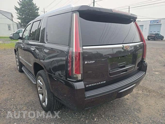 2017 Cadillac Escalade Luxury 1SB - miniatura 2