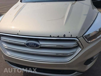 2017 Ford Escape SE - miniatura 21