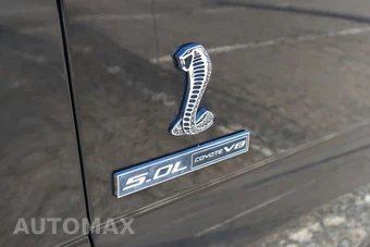 2017 Ford F-150 Platinum Crew Cab Short Bed - miniatura 16