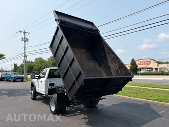 2017 Ford Super Duty F-450 Cab Chassis XL Regular Cab DRW - miniatura 24