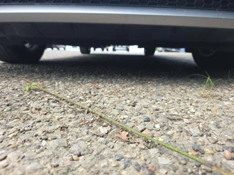 2017 Toyota Sienna L 7-Passenger 119.3" WB - miniatura 18
