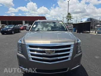 2018 Cadillac Escalade Luxury 1SB - miniatura 2