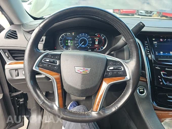 2018 Cadillac Escalade Luxury 1SB - miniatura 10