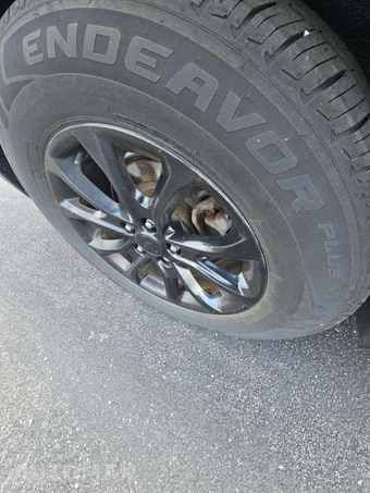 2018 Chevrolet Equinox LT 1LT – miniatura 19