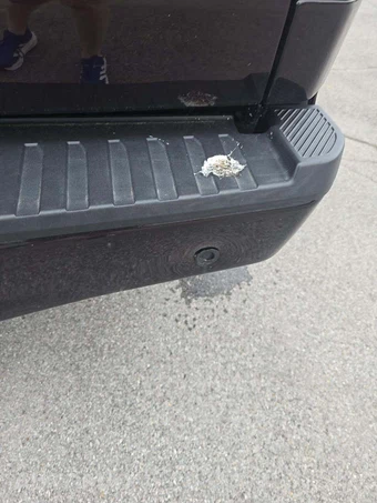 2018 Ford F-150 XLT Crew Cab Short Bed - miniatura 28