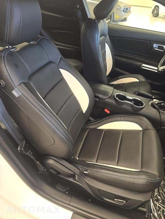 2018 Ford Mustang EcoBoost Premium Coupe - miniatura 18