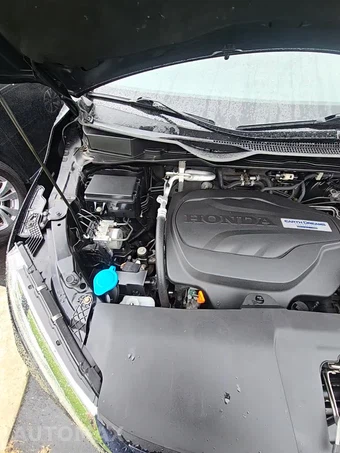 2018 Honda Odyssey Elite 118.1" WB - miniatura 22