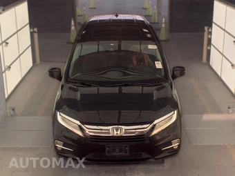 2018 Honda Odyssey Elite 118.1" WB - miniatura 2