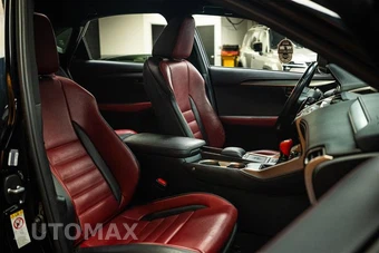 2018 Lexus NX 300 F SPORT - miniatura 15