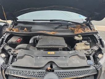2018 Mercedes-Benz Metris Passenger Van 126.0" WB - miniatura 18