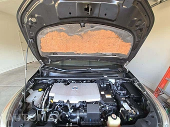 2018 Toyota Prius Two – miniatura 28