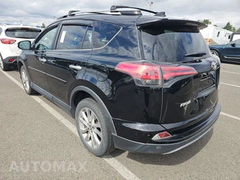 2018 Toyota RAV4 Limited – miniatura 6