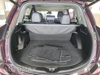 2018 Toyota RAV4 Limited - miniatura 16