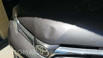 2018 Toyota Sienna LE 8-Passenger 119.3" WB - miniatura 32