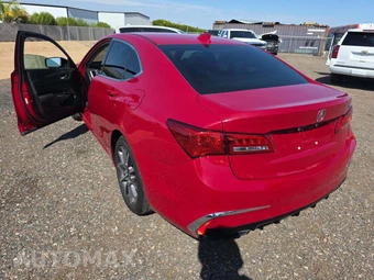 2019 Acura TLX – miniatura 2