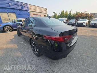 2019 Alfa Romeo Giulia - miniatura 2